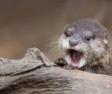 공포겜 공포영화 특