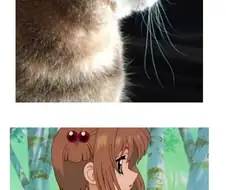 일본 만화 그림체는 고양이를 닮았다