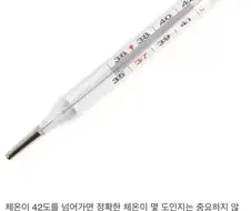 체온계가 42도밖에 못 재는 이유
