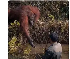 인간 거기 비얌 나온다