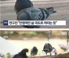 의외로 가까운데 사는 니알라토텝의 사도
