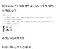메이플스토리 17년 묵은 미스테리.jpg