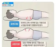피하지방과 내장지방의 차이.jpg