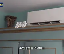 너무 더워서 빠꾸 없어진 프랑스 아저씨