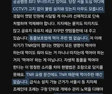 캣맘들이 치안과 공공행정까지 무너뜨리고 있어요