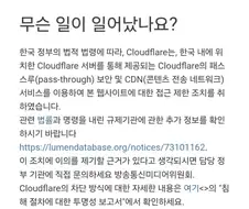 ＇야동코리아＇, ＇조개모아＇