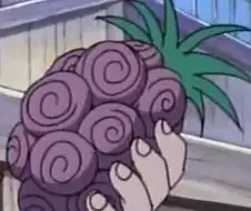 보면 볼수록 진짜 대단한 원피스 열매