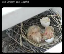 현실갱 당한 이상한 만화그리는 아저씨