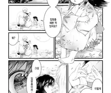 이누야샤)천하페도의 검 만화