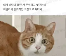 "와... 니 진짜... 허..."