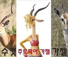 근육맨)가젤은 성별따라 뿔 모양이 다르다던데