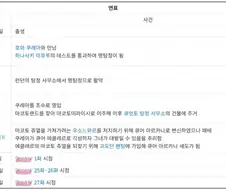 아이스크림 광인 누나의 연대기