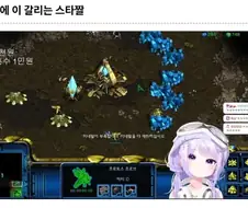 한국인이면 현기증으로 쓰러질 스타짤