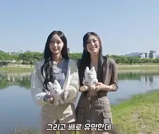 거제는 소도시는 아니야!