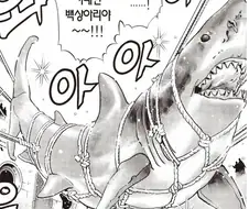 백상아리 귀갑묶기