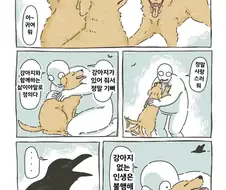 애완동물을 기르는 건 정신건강에 좋아요