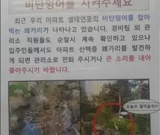 큰 소리를 내서 왜가리를 쫓아내야 하는 이유.jpg