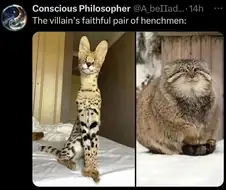 옛날 만화 악당 졸개 듀오 특