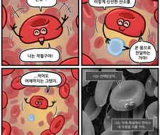 암세포 생성과정