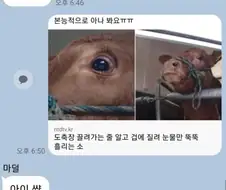 엄마 : 아들~ 엄마 소고기 먹는다 ~ 부럽지?