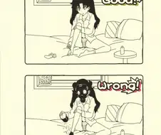 현대생활기초지식 - 잘된것과 잘안된것