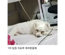 부모님 텃밭에서 시작된 인연.jpg