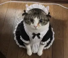 ??? : "어서 오십시오, 주인님."