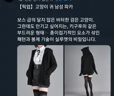 남성용 고양이 귀 파카 출시