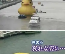 다리를 지나가려던 오리