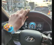 차 자랑 시계 자랑