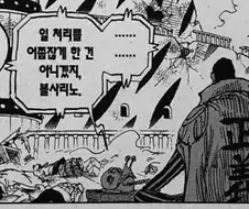 원피스) 히바리가 아카이누 딸이라는걸 정설로 보는 이유.jpg