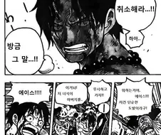 원피스) 솔직히 에이스 설정 이해가 안감