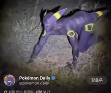 그 포켓몬이 뭐야?????