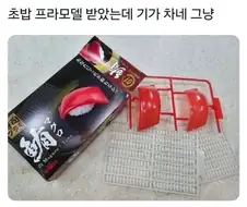 초밥 프라모델 받았는데 기가 차네 그냥