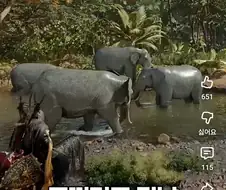 붉은사막)아니 코끼리도 있네