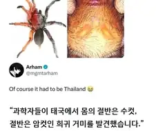 과학자들이 양쪽 성을 모두 가진 거미를 발견했습니다.