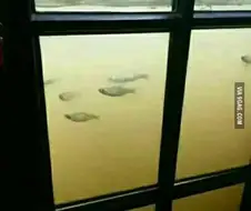바이오쇼크.jpg