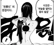 원피스) 천룡인에 대해서 아직도 안풀린 떡밥