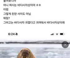 남친이 나보고 토끼 닮았다고 토끼라고 부름