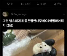 톱밥 알러지 햄스터