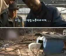 농촌에 나타난 무 도둑.jpg