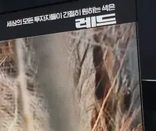 세상 모든 투자자들이 간절히 원하는 색깔은?