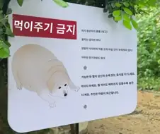 먹이 주기 금지.jpg