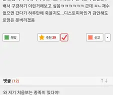 원피스) 원피스 세계 딱 일주일만 체험해보고싶다
