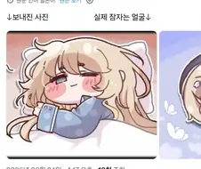DM으로 보낸 잠자는 사진 vs 실제 잠자는 사진