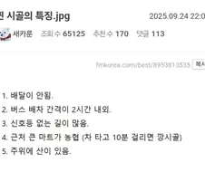 찐 시골의 특징.