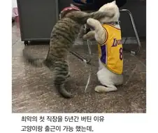 최악의 직장을 5년간 버틴 이유