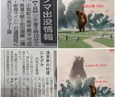 일본의 거대한 곰들.jpg