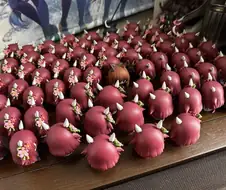 [말딸] 치요치요치요치요노오