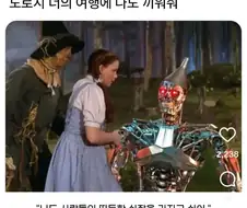 도로시, 너의 여행에 나도 끼워줘!
